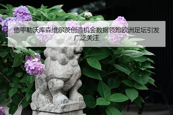 德甲勒沃库森维尔茨创造机会数据领跑欧洲足坛引发广泛关注