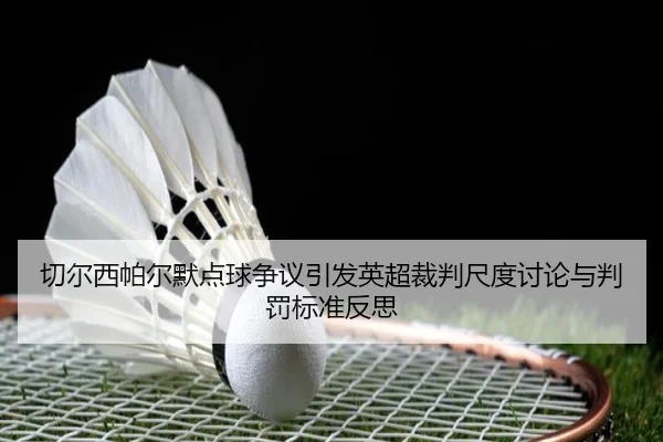 切尔西帕尔默点球争议引发英超裁判尺度讨论与判罚标准反思